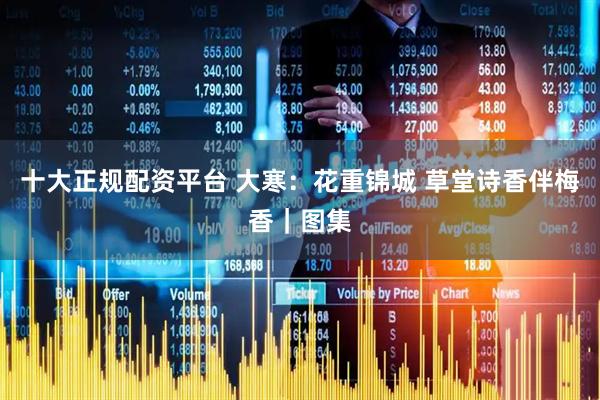 十大正规配资平台 大寒：花重锦城 草堂诗香伴梅香｜图集