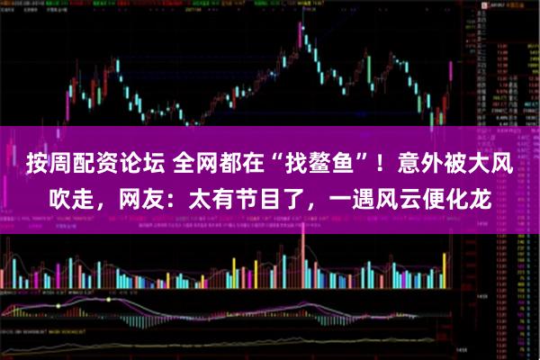 按周配资论坛 全网都在“找鳌鱼”！意外被大风吹走，网友：太有节目了，一遇风云便化龙